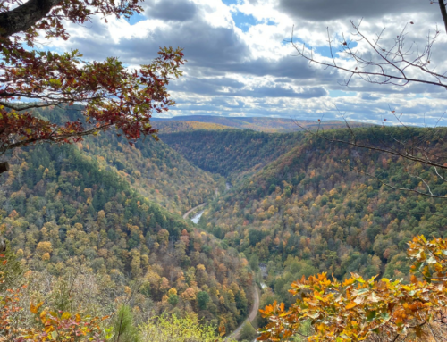 Why you should visit Pennsylvania’s Colton Point State Park