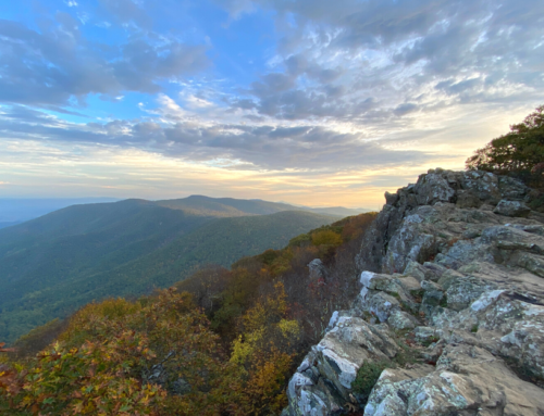 Take in the views from Shenandoah National Park’s highest mountain