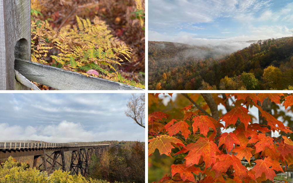 Kinzua Bridge 