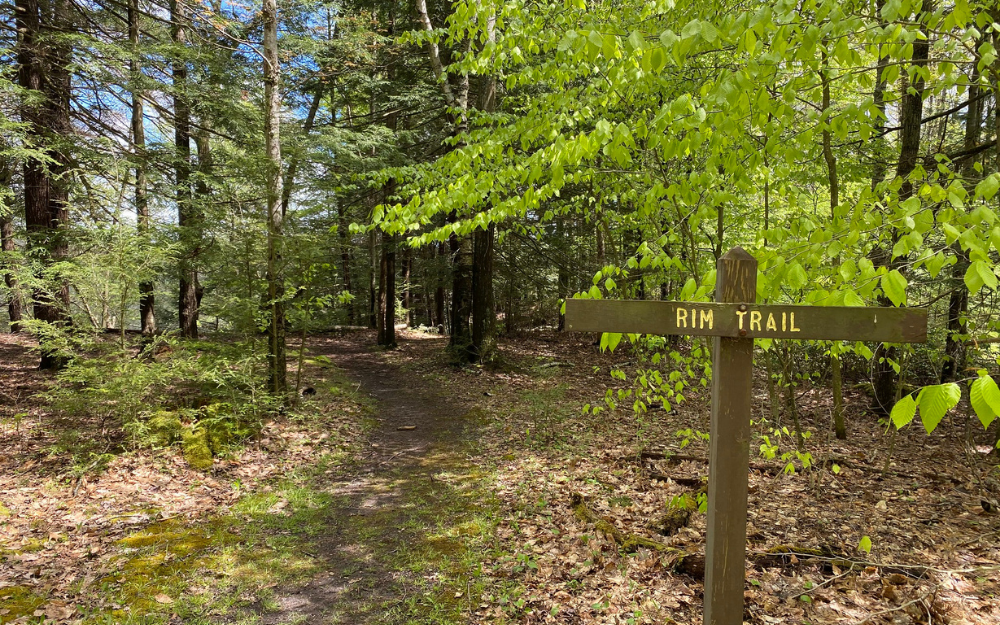 Rim Trail Picture