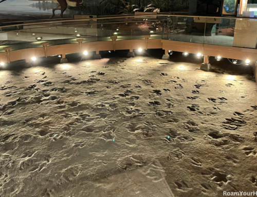 Dinosaur State Park in Connecticut features hundreds of fossilized dinosaur tracks