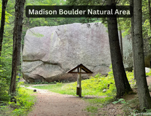 Why to check out the Madison Boulder Natural Area