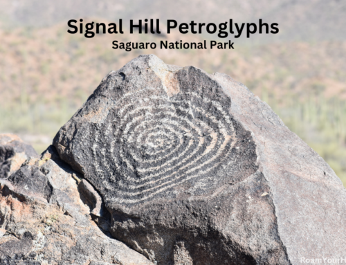 Signal Hill Petroglyphs in Saguaro National Park