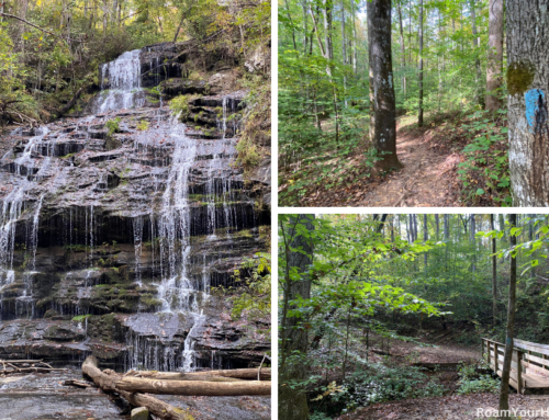 Hike to Beautiful Station Cove Falls