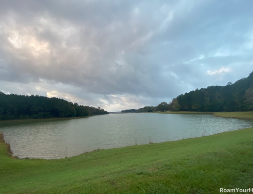 Camp where Davy Crockett once lived in this Mississippi State Park