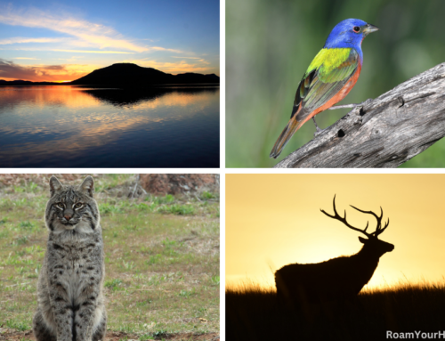 Explore Wichita Mountains National Wildlife Refuge