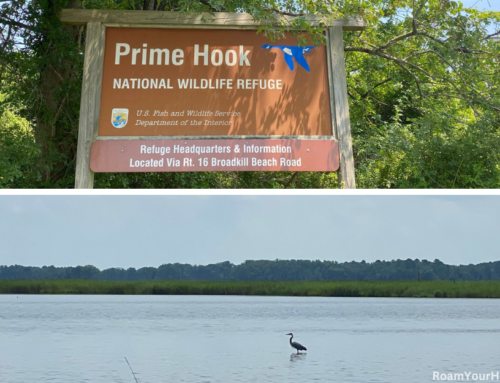 What to do at Prime Hook National Wildlife Refuge