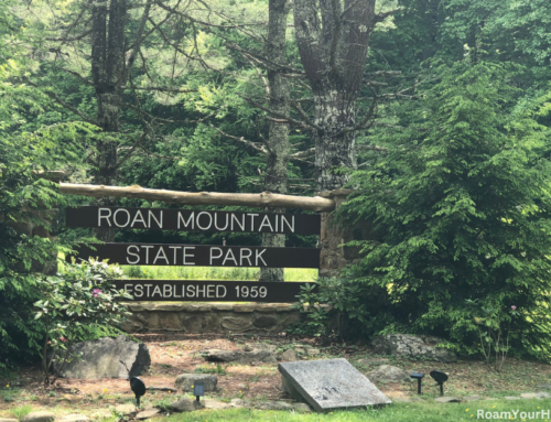 Why you should visit beautiful Roan Mountain State Park