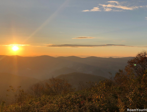 Spruce Knob: Visit West Virginia’s High Point