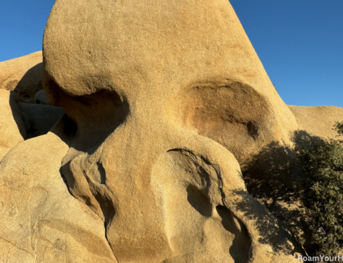 Skull Rock in Joshua Tree National Park