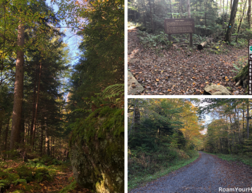 Exploring the Gaudineer Scenic Area in the Monongahela NF