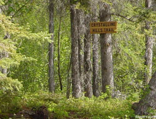 Crystalline Hills Trail: Wrangell-St. Elias National Park