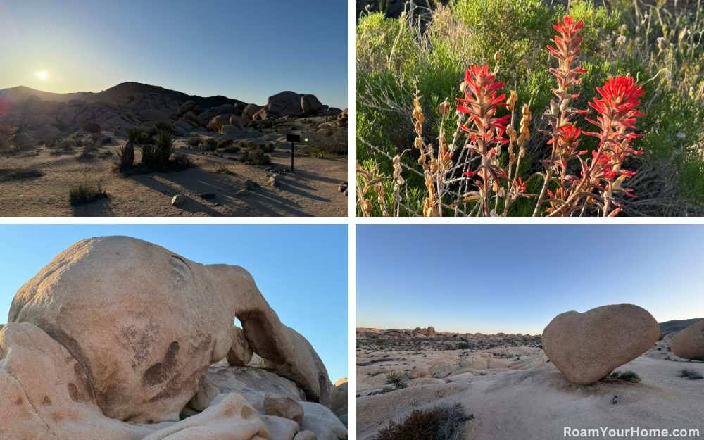 Arch Rock and Heart Rock in Joshua Tree