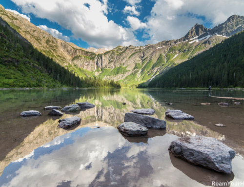 Avalanche Lake Trail: Glacier National Park