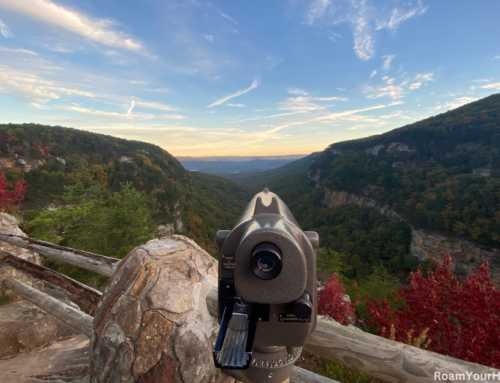 West Rim Loop Trail: Cloudland Canyon State Park