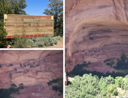 Exploring Navajo National Monument and the Betatakin Cliff Dwelling