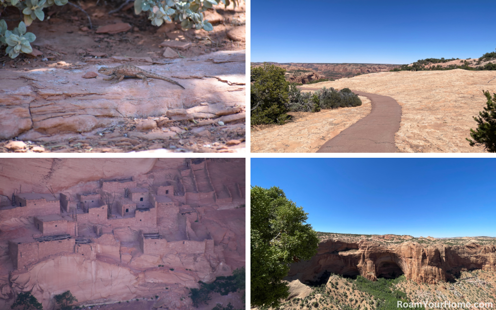 Navajo National Monument