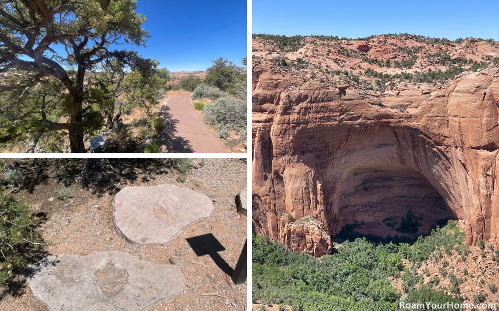 Navajo National Monument