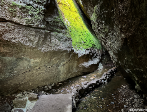 Exploring Bear Gulch in Pinnacles National Park