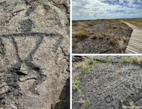 Pu‘uloa Petroglyphs: Hawaii Volcanoes National Park