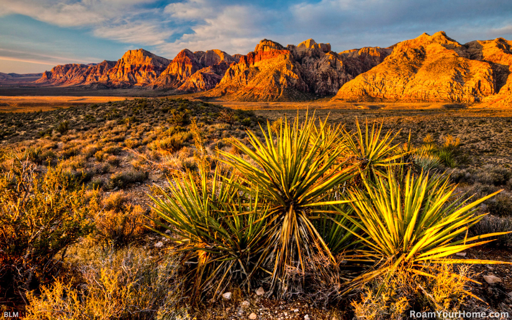 Red Rock Canyon National Conservation Area