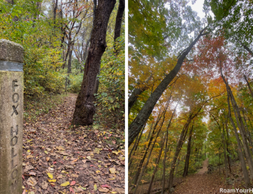 Hiking Fox Hollow Trail in Shenandoah National Park