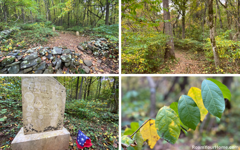 Hiking Shenandoah National Park's Fox Hollow Trail.