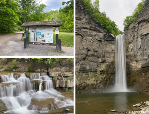 Taughannock Falls State Park’s Gorge Trail