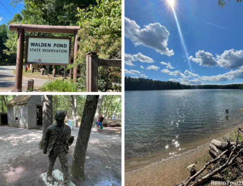 Walden Pond Trail Guide: Following in Thoreau’s footprints