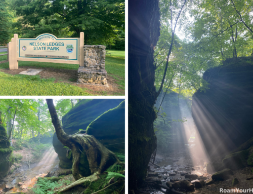 Nelson-Kennedy Ledges State Park: An Ohio Geological Wonderland