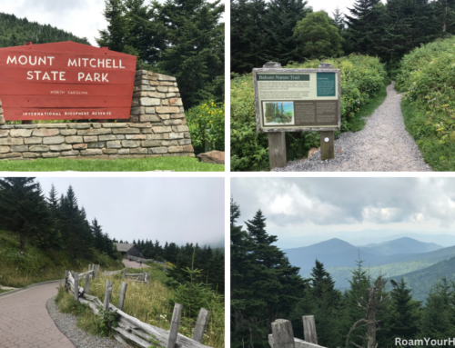 Mount Mitchell Summit Trail: The Highest Point east of the Mississippi