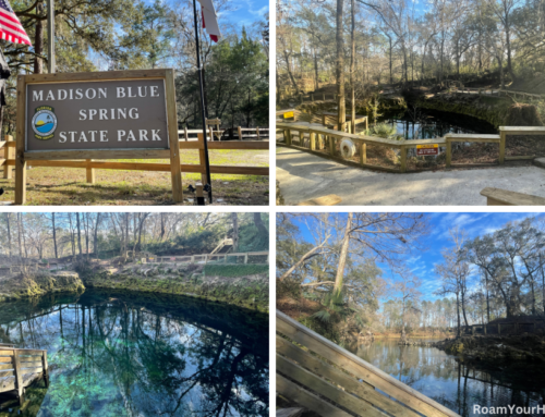 Madison Blue Springs State Park: Florida’s Premier Swimming Hole