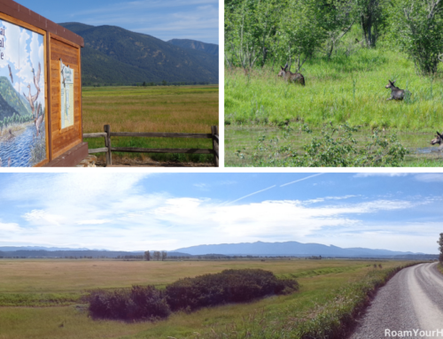 Visiting the Kootenai National Wildlife Refuge