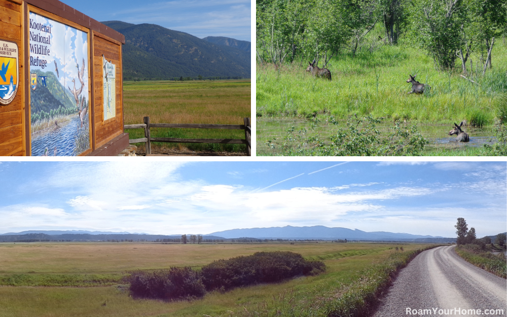 Kootenai National Wildlife Refuge