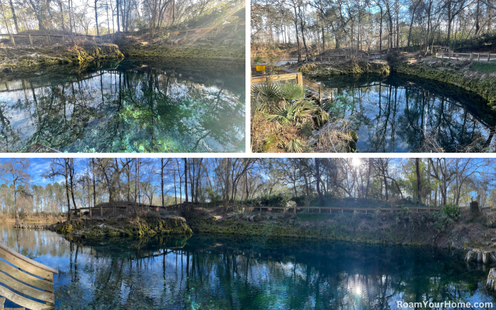 Madison Blue Spring State Park features one of the best swimming holes in the country.