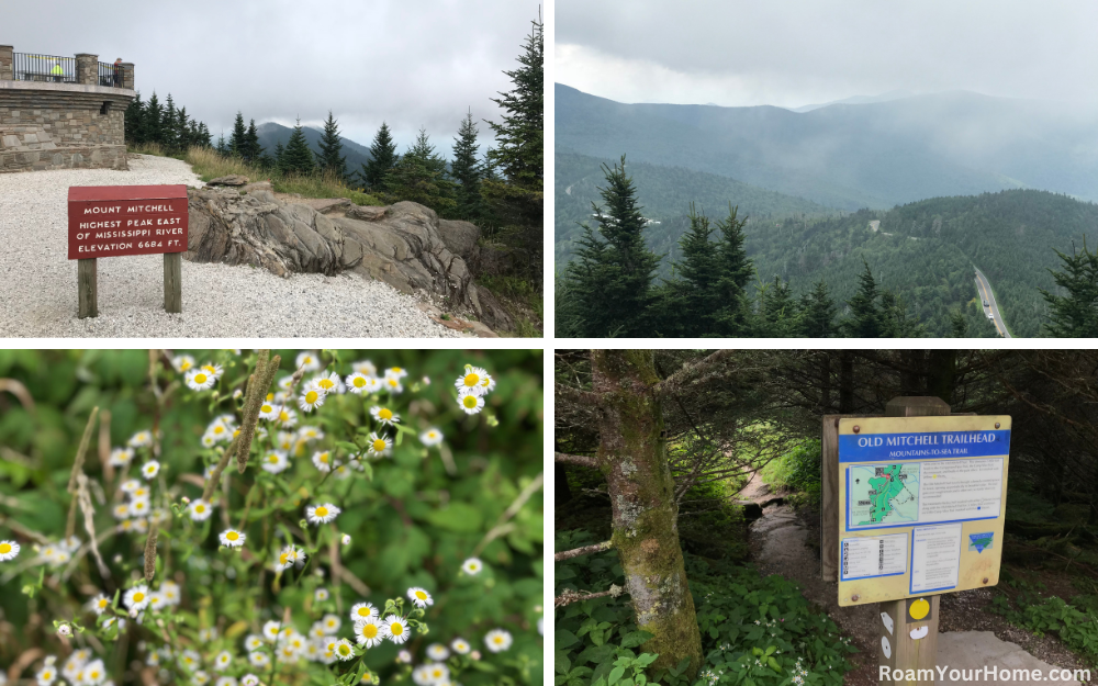 Mount Mitchell State Park