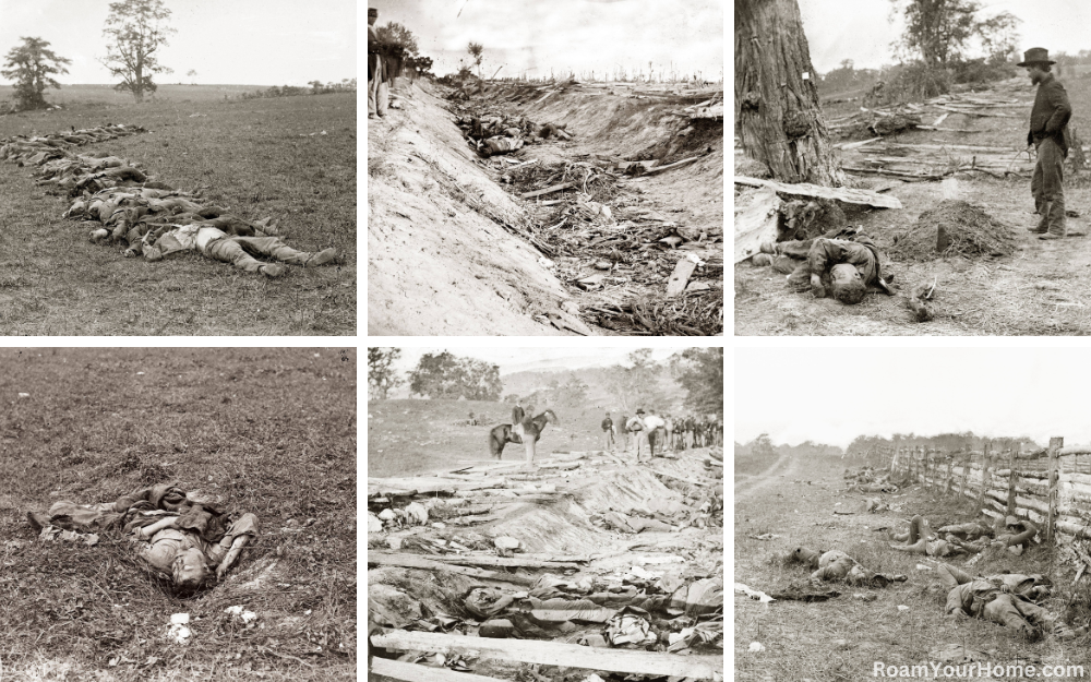 Antietam Dead