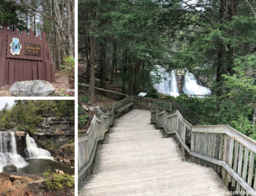 Blackwater Falls State Park: West Virginia’s most famous waterfall