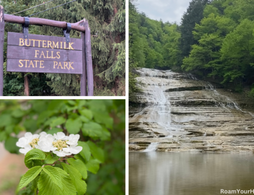 Buttermilk Falls State Park: Rim and Gorge Trail