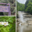 Buttermilk Falls State Park in New York.