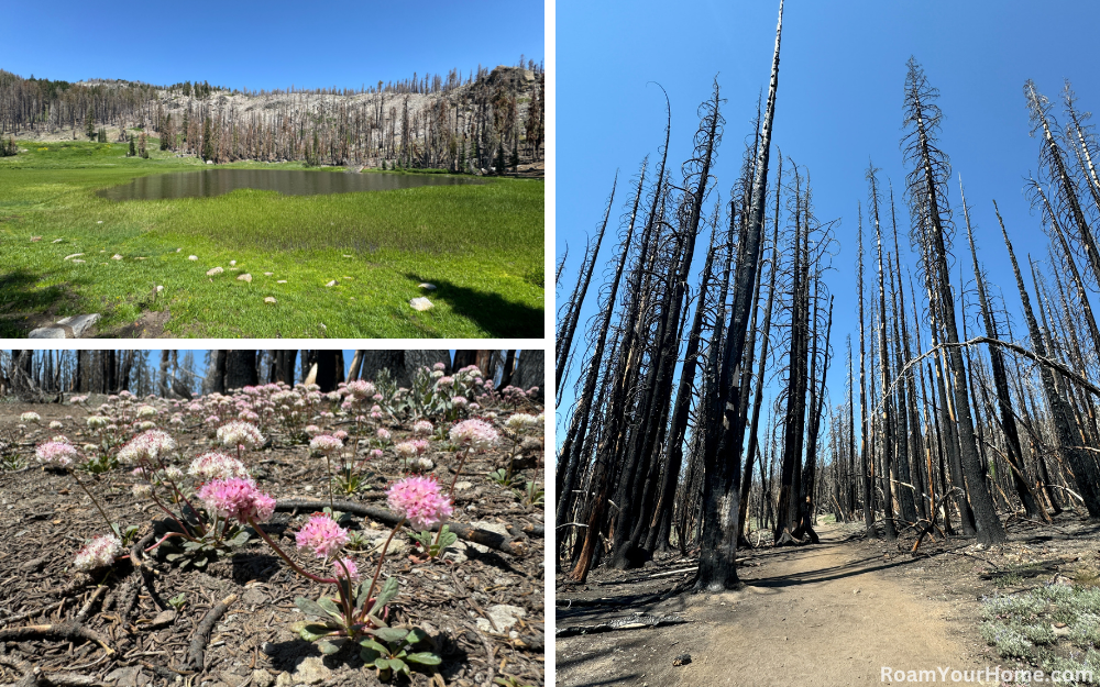 Cold Boiling Lake in Lassen Volcanic National Park