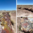 Giant Logs Trail in Petrified Forest National Park