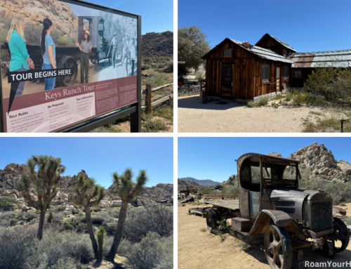 Keys Ranch Tour: Joshua Tree National Park