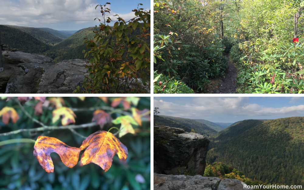 Lindy Point In Blackwater Falls State Park