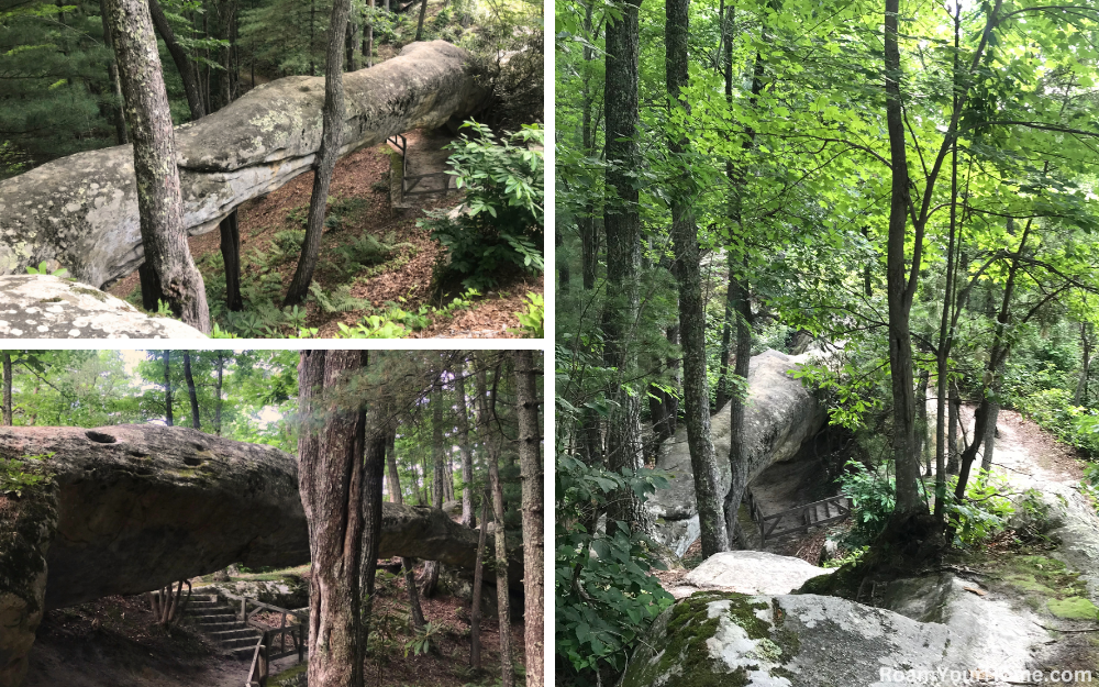 Log Rock Trail in Kingdom Come SP