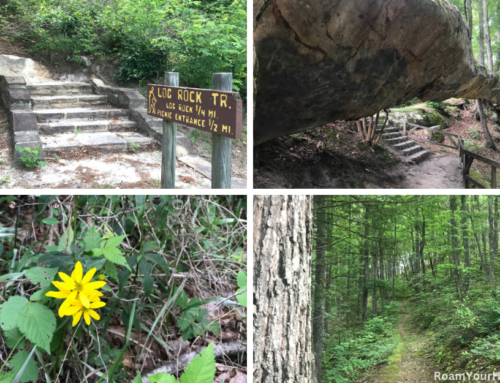 Log Rock Trail in Kingdom Come State Park