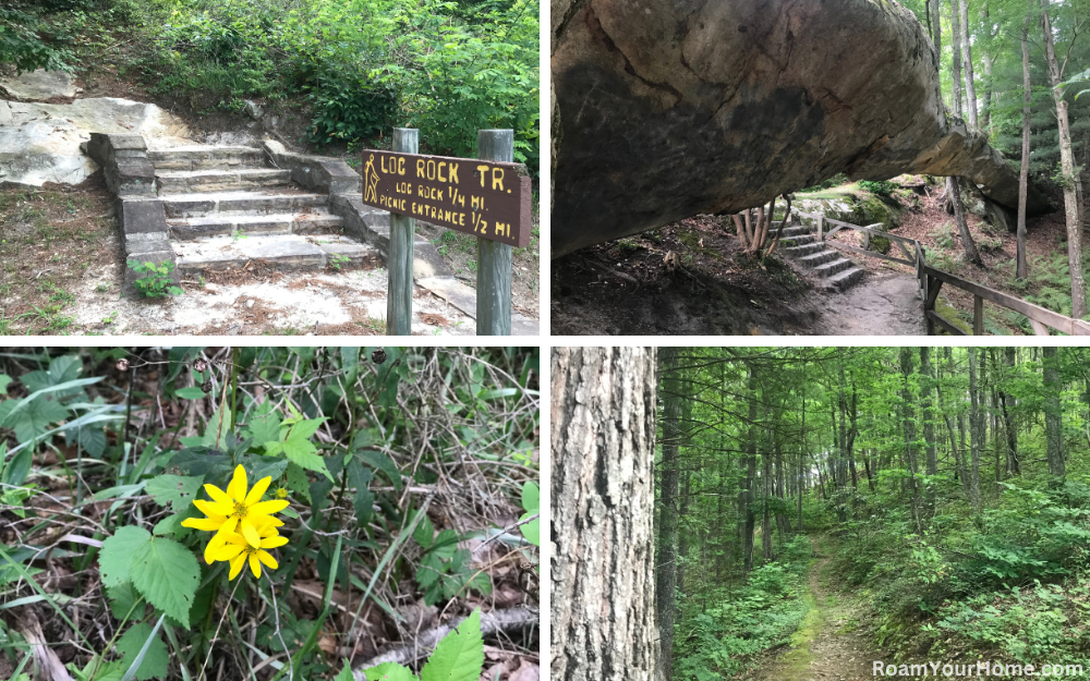 Log Rock Trail in Kingdom Come State Park