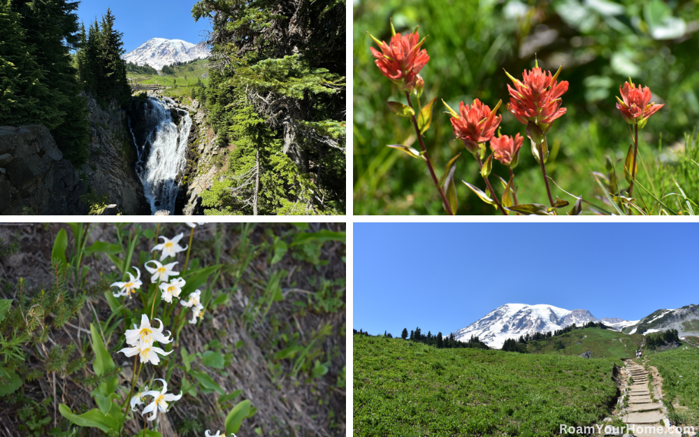 Myrtle Falls in Mount Rainier National Park