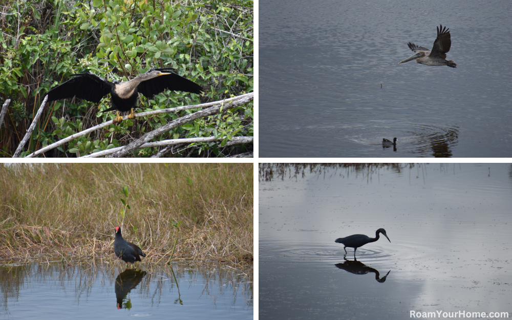 Thousand Islands National Wildlife Refuge