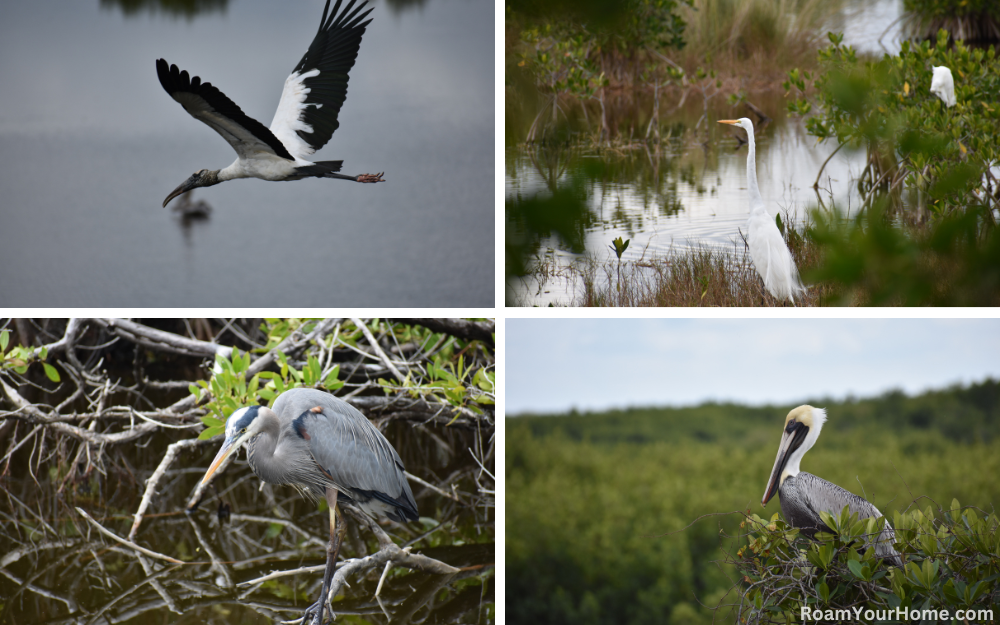 Thousand Islands National Wildlife Refuge